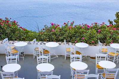 High angle view of flowering plants by sea