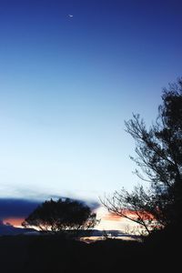 Silhouette trees on landscape against clear sky at sunset