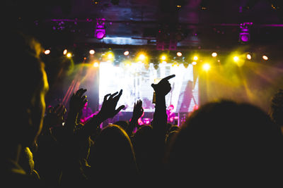 Crowd at music concert