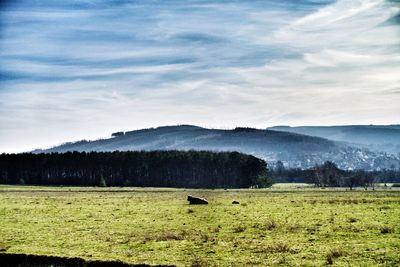 Scenic view of landscape against sky