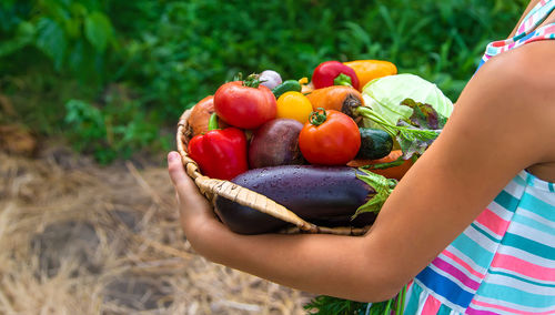 Low section of woman picking fruits