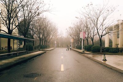 Road amidst bare trees against clear sky