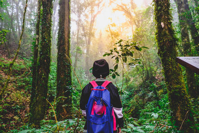 Rear view of female hiker standing in forest