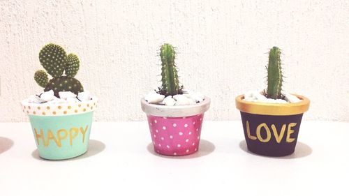 Close-up of potted plant on table