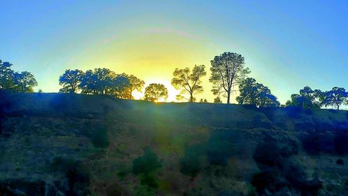 Low angle view of trees against sky during sunset