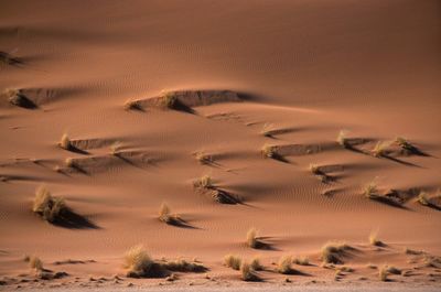 Low angle view of a desert