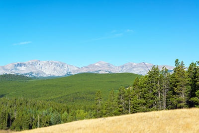 Scenic view of grassy landscape and mountains against clear blue sky