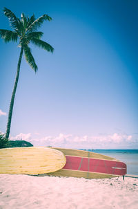 Palm trees on beach against blue sky