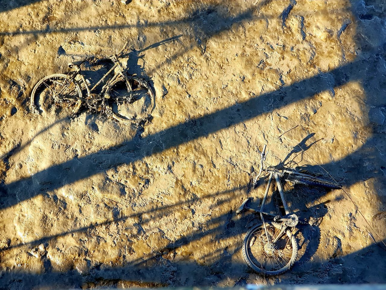 HIGH ANGLE VIEW OF INSECT ON COBBLESTONE STREET