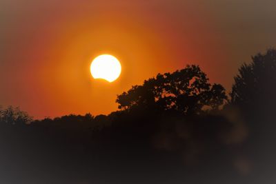 Low angle view of silhouette trees against sky during sunset