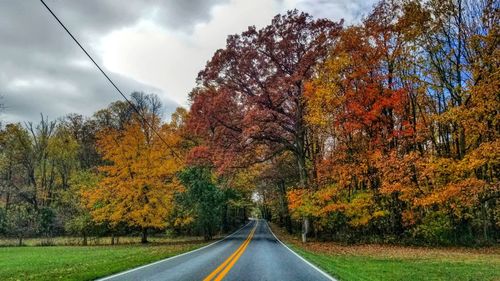 Road amidst trees against sky during autumn