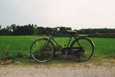 Motorcycle parked on grassy field