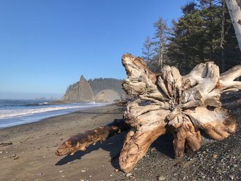 Scenic view of beach against clear sky