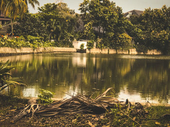 Scenic view of lake by trees