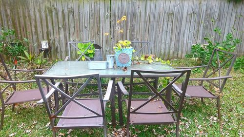 Plants against wooden wall