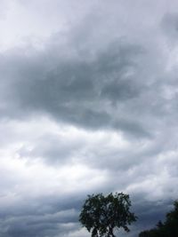 Low angle view of tree against cloudy sky