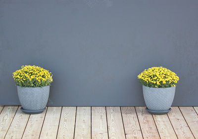 Yellow flower pot on table against wall