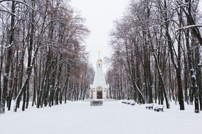 Trees on snow covered landscape