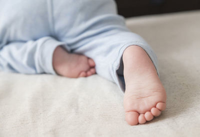 human leg