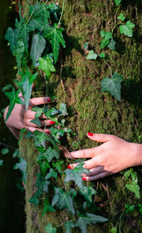Midsection of person holding plant
