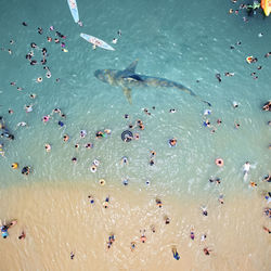 High angle view of group of people swimming in sea