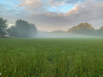 Scenic view of field against sky during foggy weather