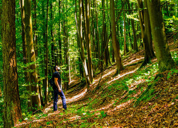 Man standing amidst trees in forest