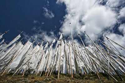 Low angle view of prayer flags on field against sky