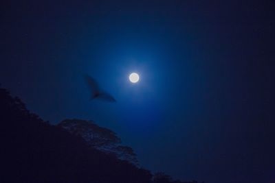 Scenic view of silhouette moon against sky at night