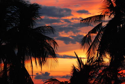 Silhouette palm trees against sky during sunset