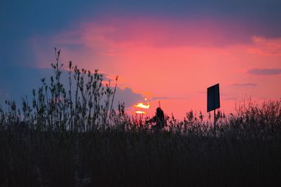 Silhouette plants on field against sky during sunset