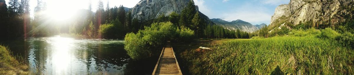 Panoramic view of trees and mountains against sky