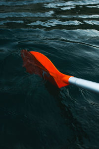 High angle view of red floating on water