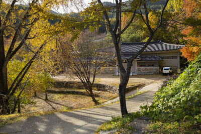 Road amidst trees and buildings during autumn