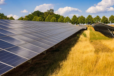 Many rows of solar panels of a solar power plant for the production of renewable electricity
