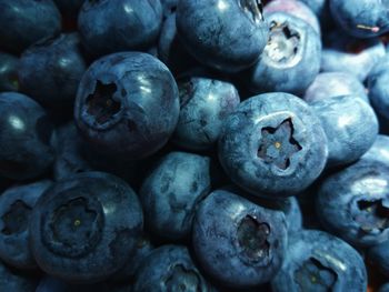 Full frame shot of blueberries