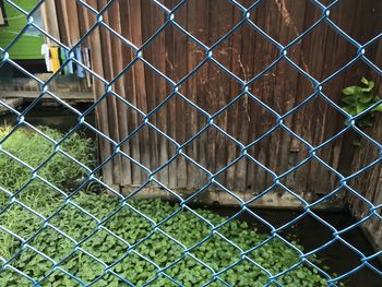 Full frame shot of chainlink fence