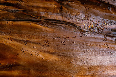 Colored mud river, close view