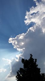 Low angle view of trees against cloudy sky