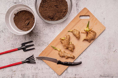 High angle view of vegetables on cutting board