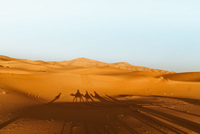 Shadow of camels and people on sahara desert