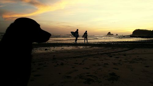 Silhouette of people on beach at sunset