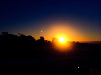 Silhouette of trees at sunset