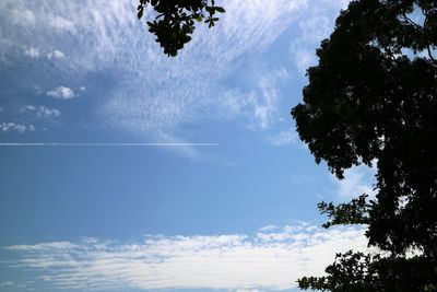 Low angle view of trees against cloudy sky