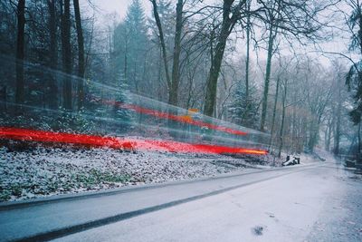 Road in forest during winter
