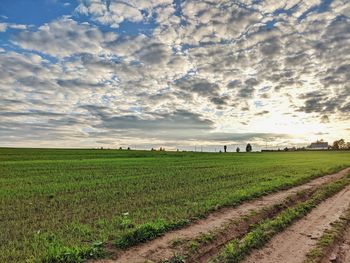 Scenic view of agricultural field against sky
