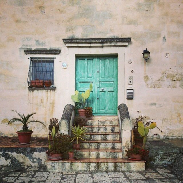 architecture, built structure, building exterior, door, house, window, closed, entrance, residential structure, potted plant, wall, wall - building feature, residential building, plant, old, day, abandoned, doorway, building, steps