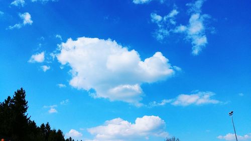 Low angle view of trees against blue sky