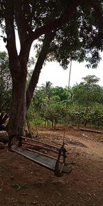 View of empty bench in park