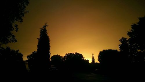 Silhouette of trees at sunset